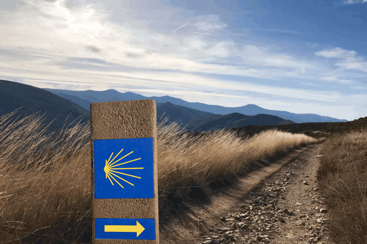 Camino de Santiago: Caminoen og de mange ruter
