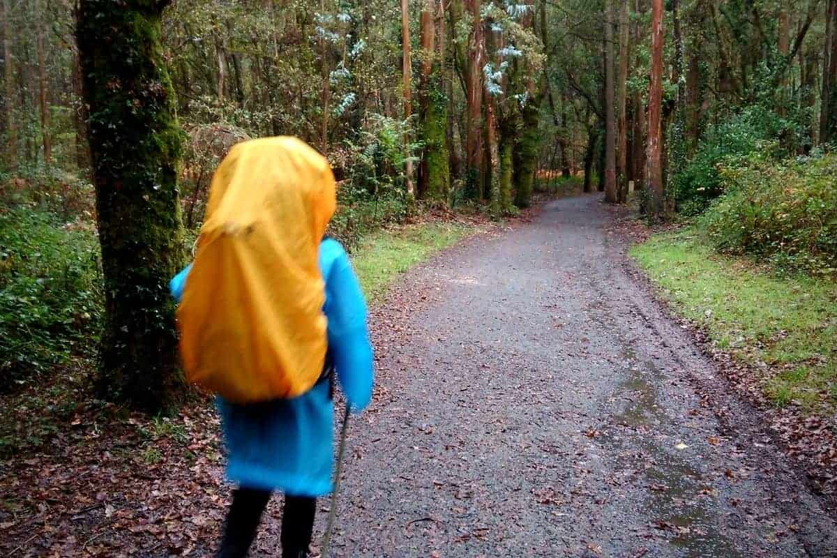 Kan man gå Caminoen alene? Mine erfaringer fra fem ruter