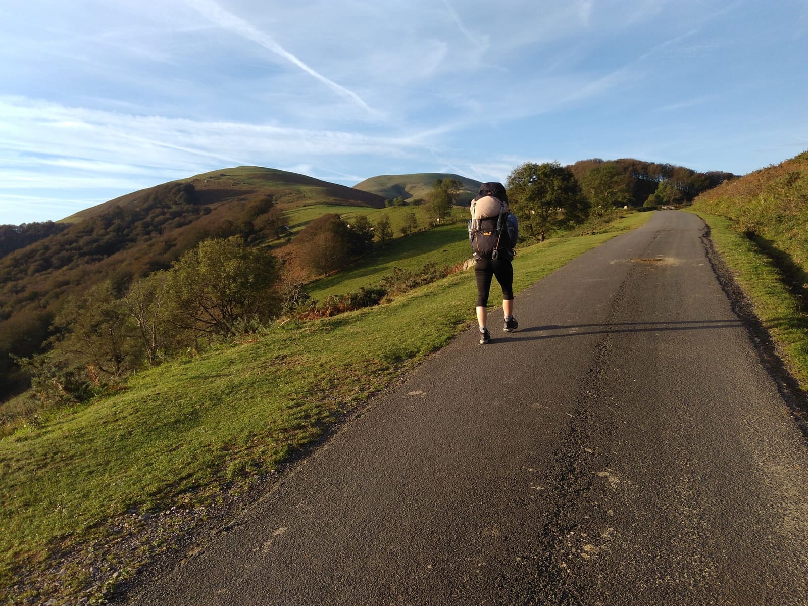 Camino Francés