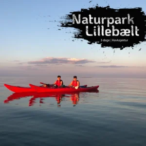 Excursión en kayak por el parque natural de Lillebælt