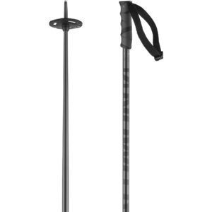 Salomon Hacker, lyžařské hůlky, šedé