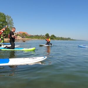 Stand Up Paddle (SUP) Kurs IPP2 – Anfänger