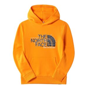 The North Face Teens Drew Peak Pull Over Hoodie (Orange (CONE ORANGE) Large)